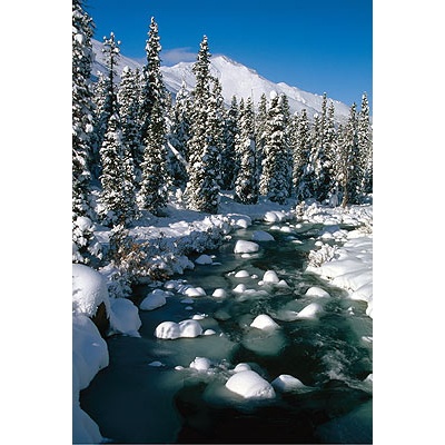 ReProduct Snowy River Card