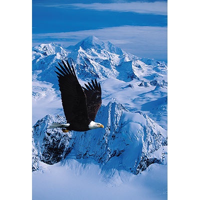 ReProduct Soaring Eagle Card