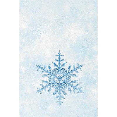 ReProduct Snowflake Card