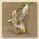Woodsy Ornament - Eagle
