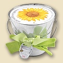 Garden in a Pail - Sunflower