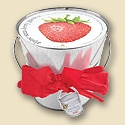 Garden in a Pail - Strawberry
