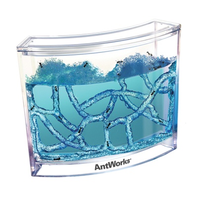 AntWorks