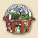 Fairy Triad Garden