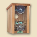 Duncraft Window View Nest Box