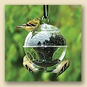 Cling-a-Wing Feeder
