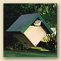 Carolina Wren House