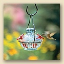 Pot de Creme Hummingbird Feeder