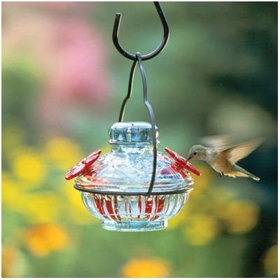 Pot de Creme Hummingbird Feeder