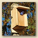 Bluebird Joy Box