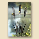 Cattail Feeder