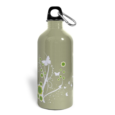 Stainless Steel Water Bottle - Spring Forward
