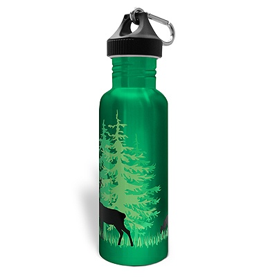 Stainless Steel Water Bottle - Forest