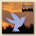 Window Decals - Hummingbird