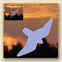 Window Decals - Bird of Prey