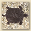 Turtle Stepping Stone