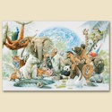 Animal Kingdom Card