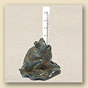 Drinking Frog Rain Gauge