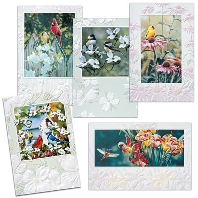 Birds Birthday Card Assortment Pack