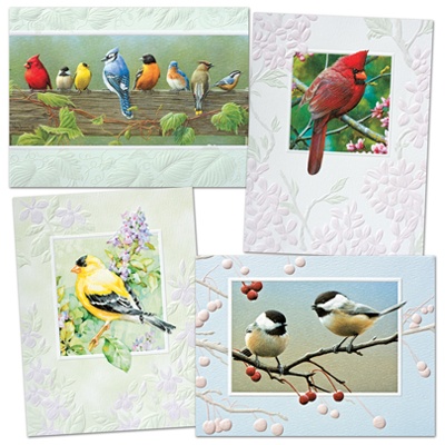 Winged Beauties Mini Card Assortment Pack