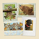 Close to Nature Mini Card Assortment Pack