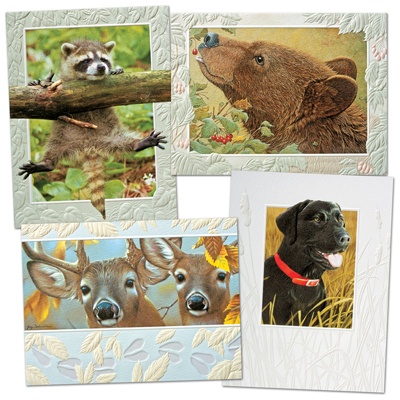 Close to Nature Mini Card Assortment Pack