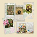 Wildlife Wonders Blank Assortment Pack