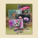 Colorful Beauties Sympathy Assortment Pack