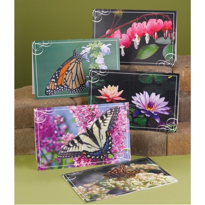 Colorful Beauties Sympathy Assortment Pack