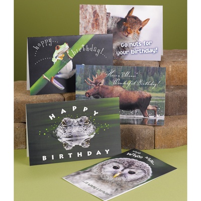 ... All Occasion Cards · Naturally Funny Birthday Asso