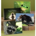 Lighthearted Wildlife Assortment Pack