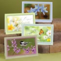 Serene Sympathy Assortment Pack