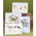 At the Beach Birthday Assortment Pack