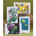 The Beauty of Caring Sympathy Assortment Pack