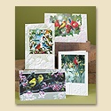 Winged Greetings Birthday Assortment Pack