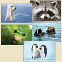 Cute Critters Birthday Assortment Pack