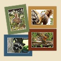 Close to Home Assortment Pack