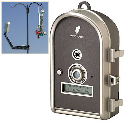 BirdCam with Night Flash
