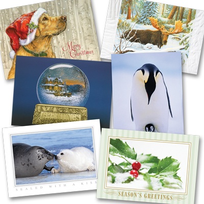 Holiday Sale Assortment Pack