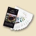 2011 Pocket Calendar Pack