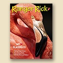 Ranger Rick February 2009 Back Issue