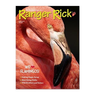 Ranger Rick February 2009 Back Issue