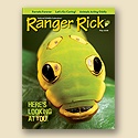 Ranger Rick May 2008 Back Issue