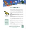 Attracting Butterflies Tip Sheet