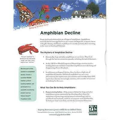 Amphibian Decline Tip Sheet