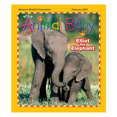 Wild Animal Baby February 2011