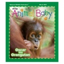 Wild Animal Baby March 2011