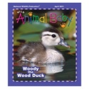 Wild Animal Baby April 2011