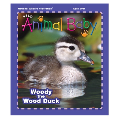 Wild Animal Baby April 2011
