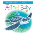 Wild Animal Baby June 2010